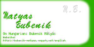 matyas bubenik business card